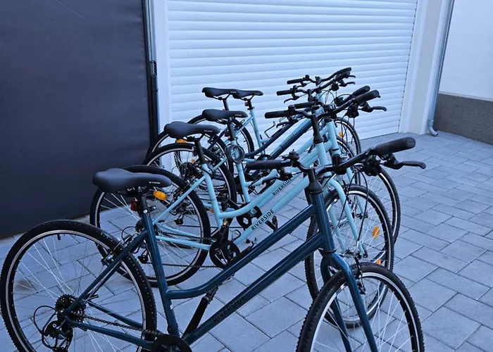 Bernie With A Pool 아파트