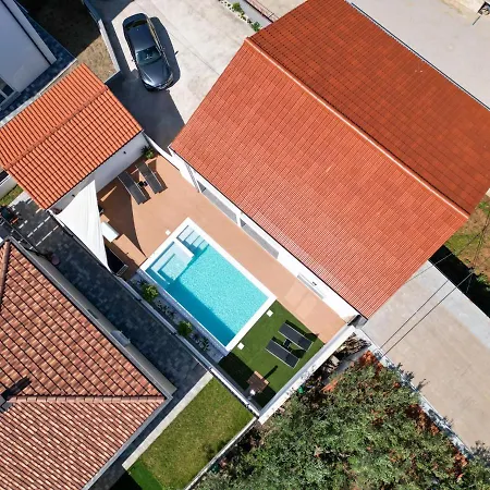 Bernie With A Pool * زادار