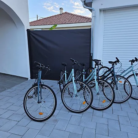 Bernie With A Pool アパート