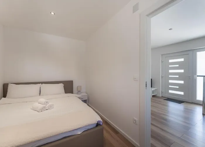 Bernie With A Pool Задар