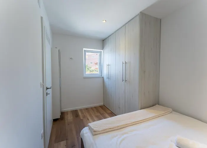 Bernie With A Pool * زادار