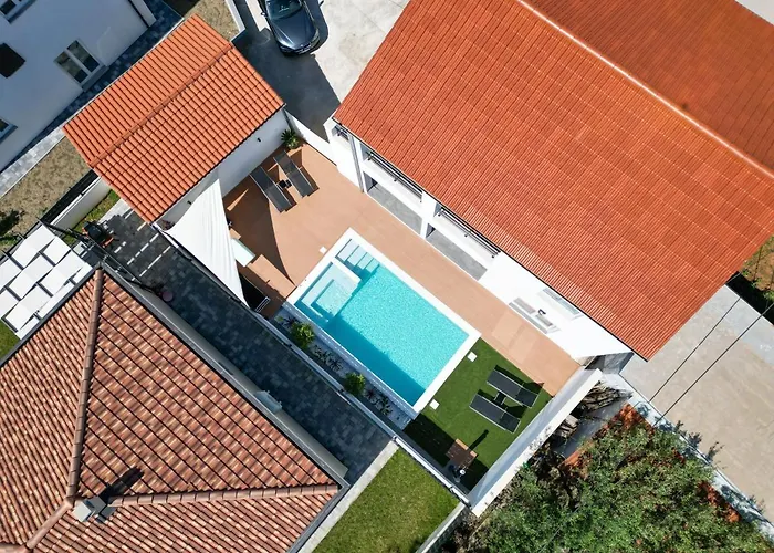 Bernie With A Pool זאדאר