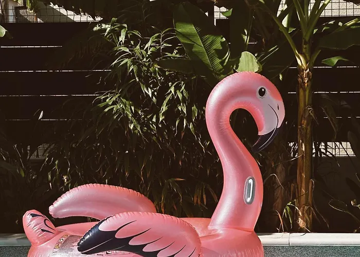 Bernie With A Pool